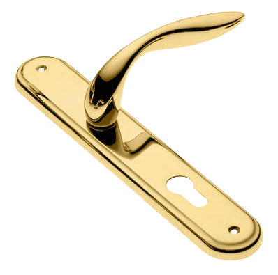 Ручка дверная на планке LEON PL OTL, цвет золото, латунь фото купить в Шымкенте